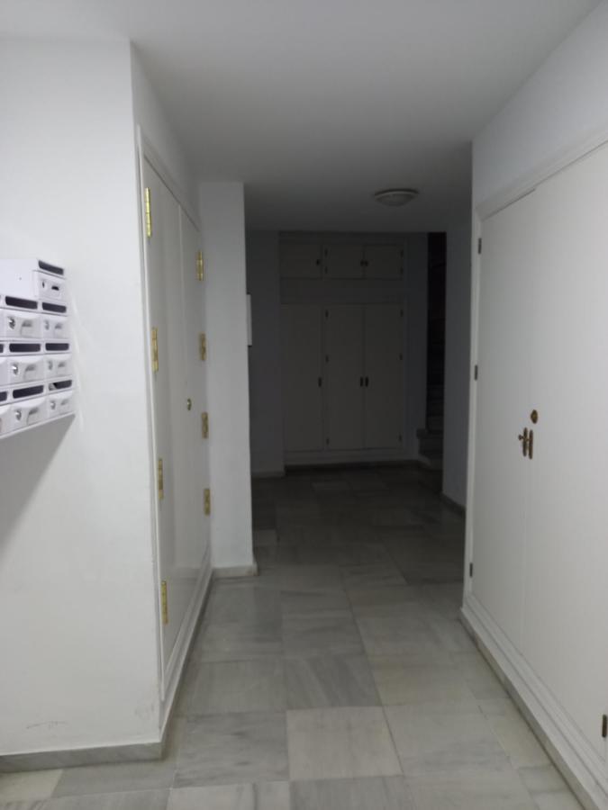 Calle Ancha Lägenhet Cádiz Exteriör bild